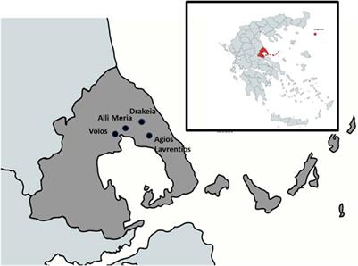 Ethnopharmacological study of medicinal plants used against skin ailments on Mount Pelion, central Greece